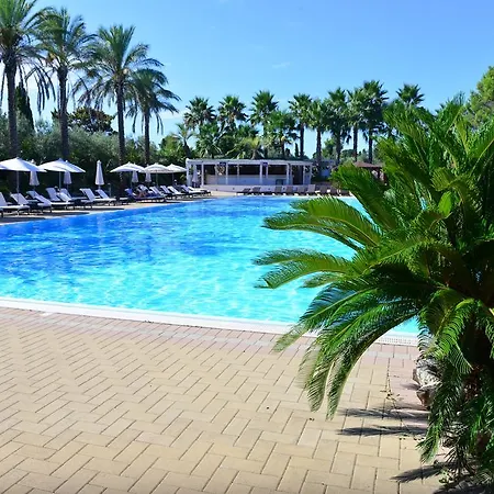 Paradise 4*
