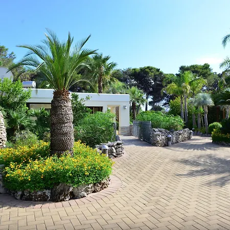 度假村 绿色天堂度假村 4*