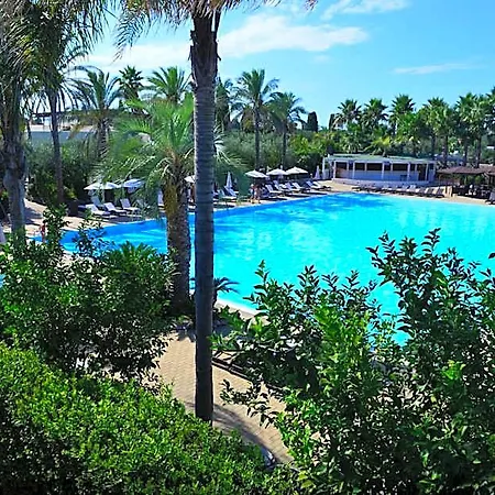 Paradise